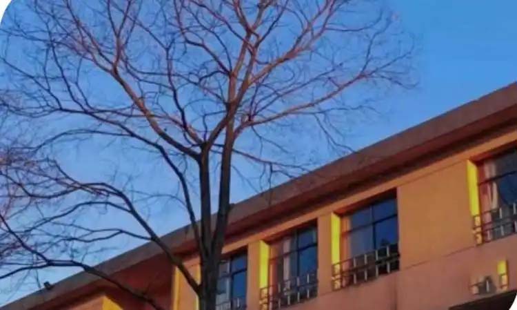 2025年湖南省高职院校单招各专业计划招生人数公布