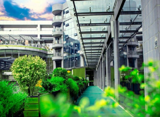 长沙金麦子：特色教学筑根基，科学管理助成长