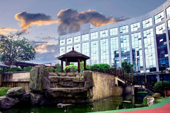 【单招集训长培班】|2025长沙市金麦子单招集训营